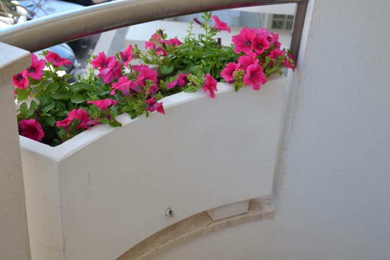 Porto Nuovo Holiday home *